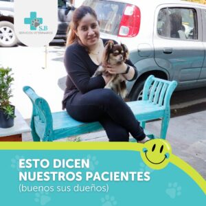 veterinaria cerca de mi