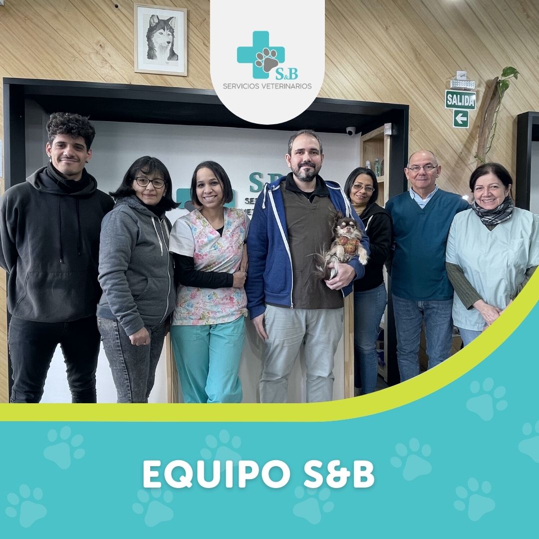 veterinaria