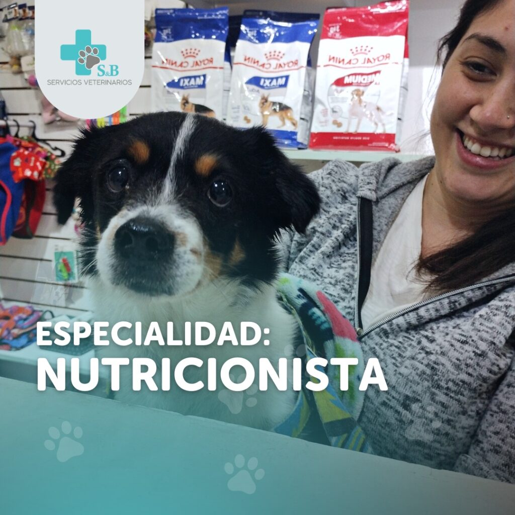 Nutricionista Veterinaria